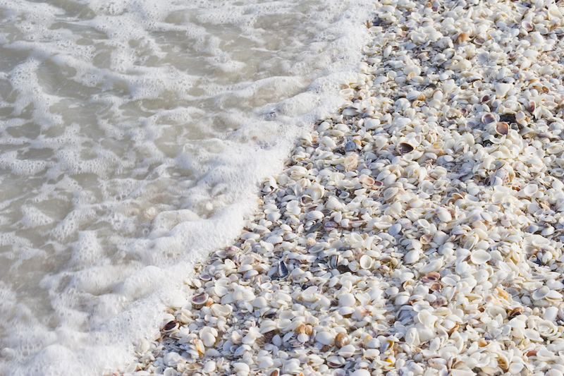 sanibel island shelling beach