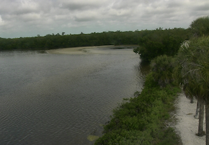 jn ding darling national wildlife refuge