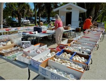 Sanibel Shell Festival